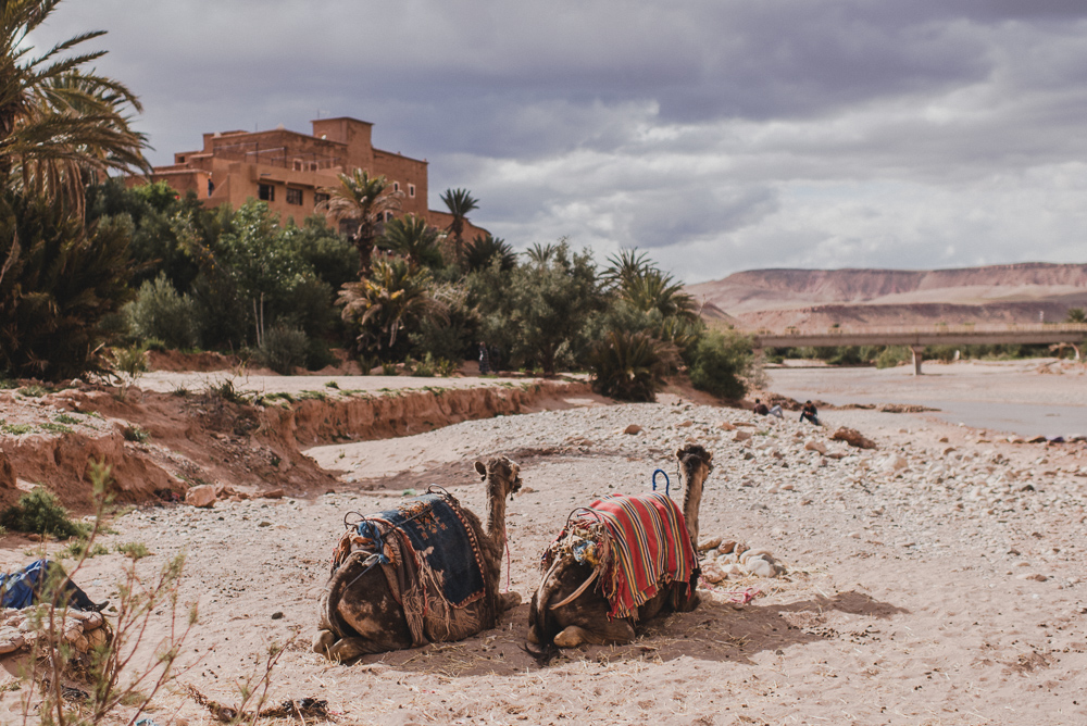 Morocco Photographer