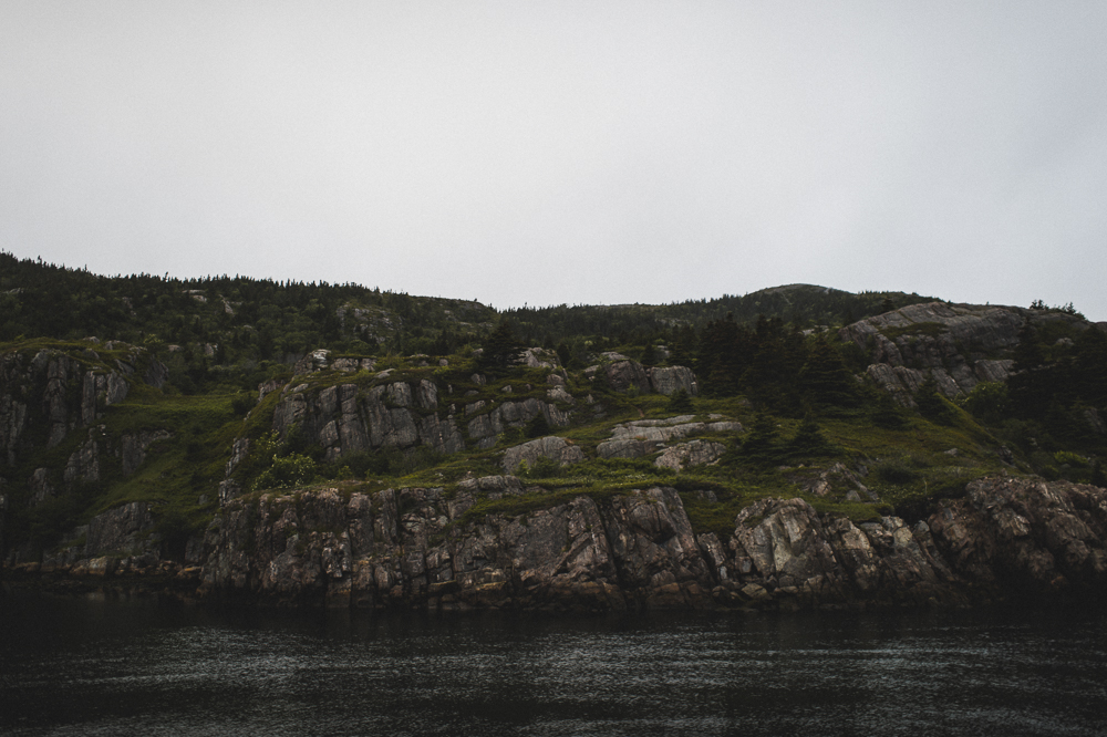 Newfoundland Elopement Jennifer moher Photography (148)